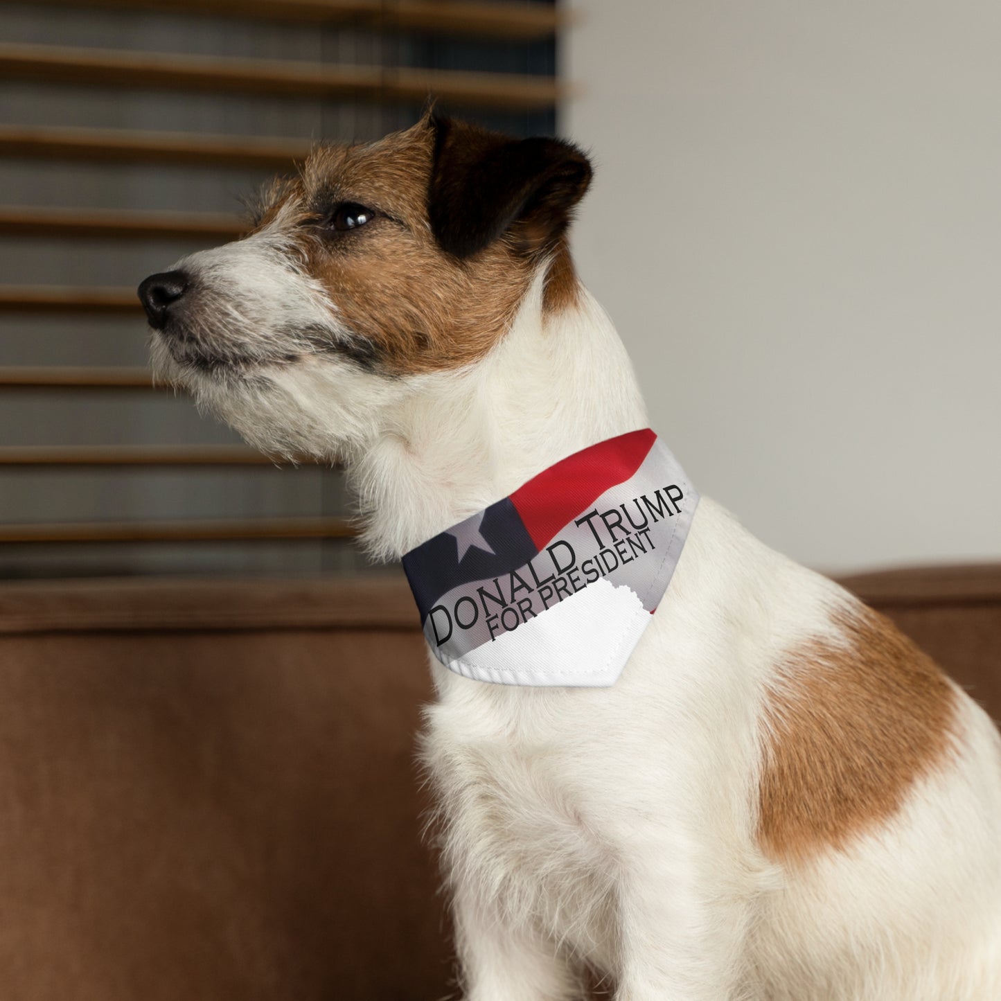 Donald Trump Pet Bandana Collar