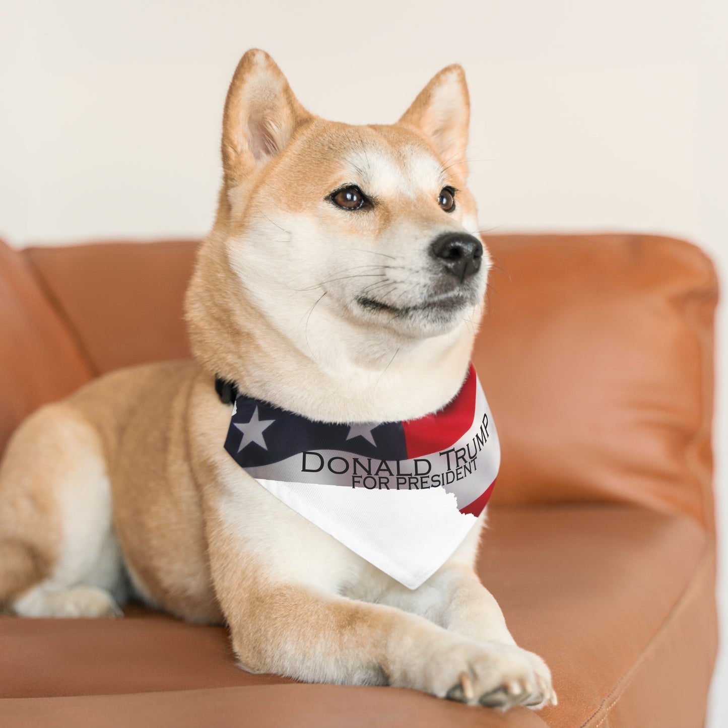 Donald Trump Pet Bandana Collar